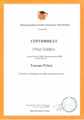 Сертификат восьмиклассника Тонояна Рубена об участии в олимпиаде по обществознанию. 2018г