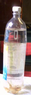 Картезианский водолаз своими руками. Модель картезианского водолаза. Картезианский водолаз опыт. Картезианский водолаз игрушка. Картезианский водолаз с пластиковой трубочкой.